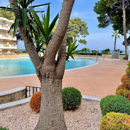 Apartbeach Internacional 1 Residencial Y Piscinas *